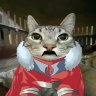 itsmyprime